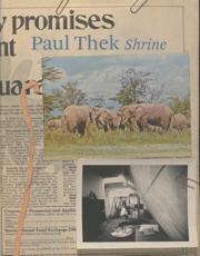 Paul Thek : Shrine